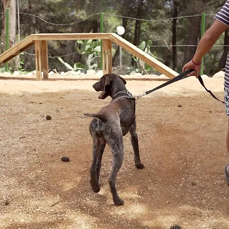营地 La Scogliera 圣凯撒利亚温泉