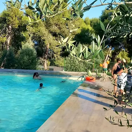 La Scogliera *
