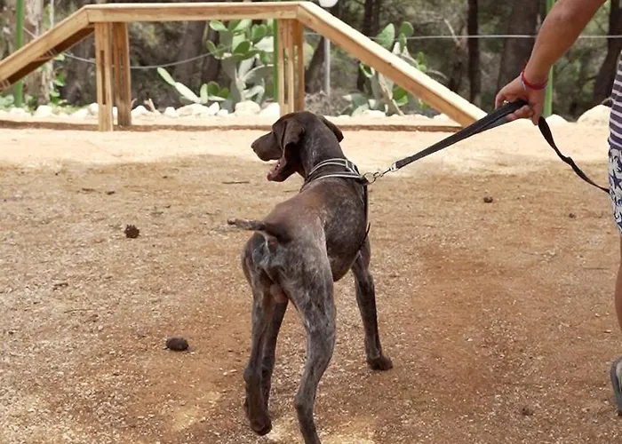 Camping La Scogliera Santa Cesarea Terme